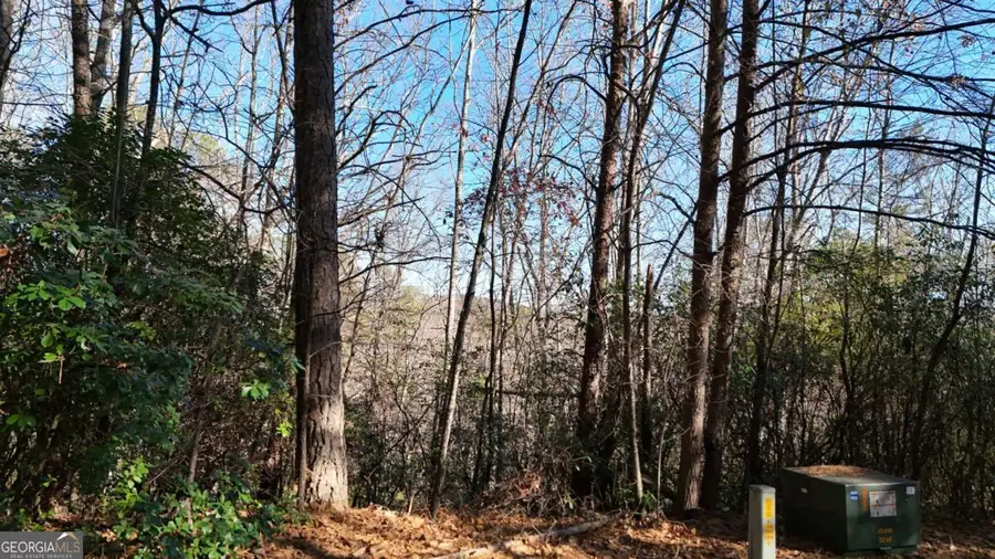 LOT 1 Gold Valley Road, Sautee Nacoochee, GA 30571 - #3