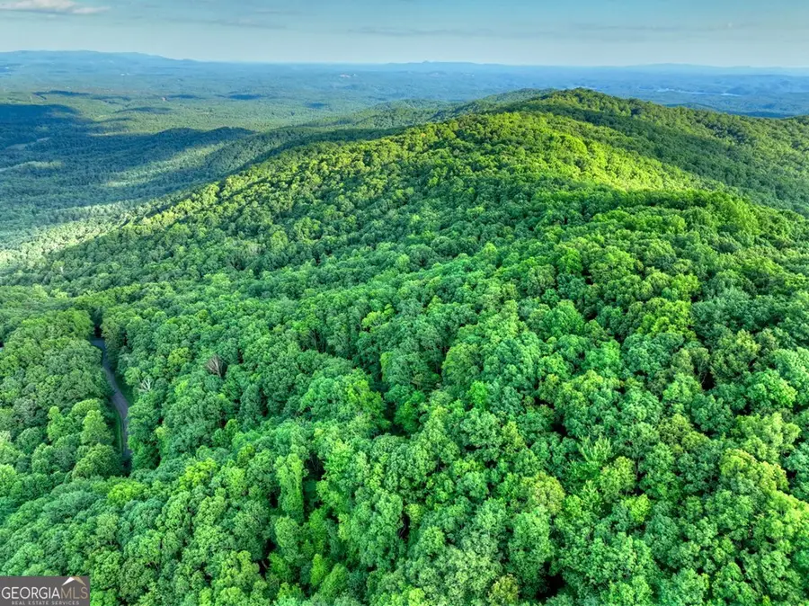 35 Utana Bluff Trails, Ellijay, GA 30540 - #2