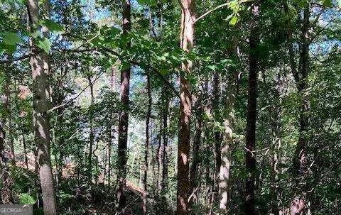 LOT 140 Red Oak Trail #140, Ellijay, GA 30540 - #1
