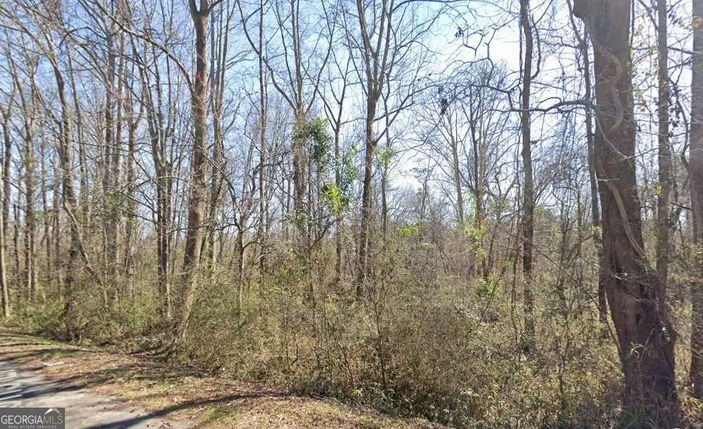 0 Parsons Lane, Sandersville, GA 31082 - #1
