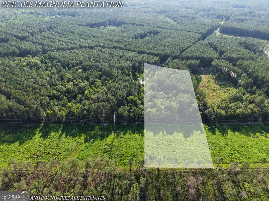 V/L 58 Magnolia Plantation, White Oak, GA 31568 - #3