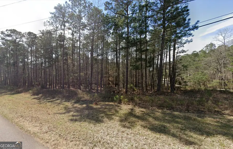 35 S Chattahooc Ee Drive, Hogansville, GA 30230 - #2