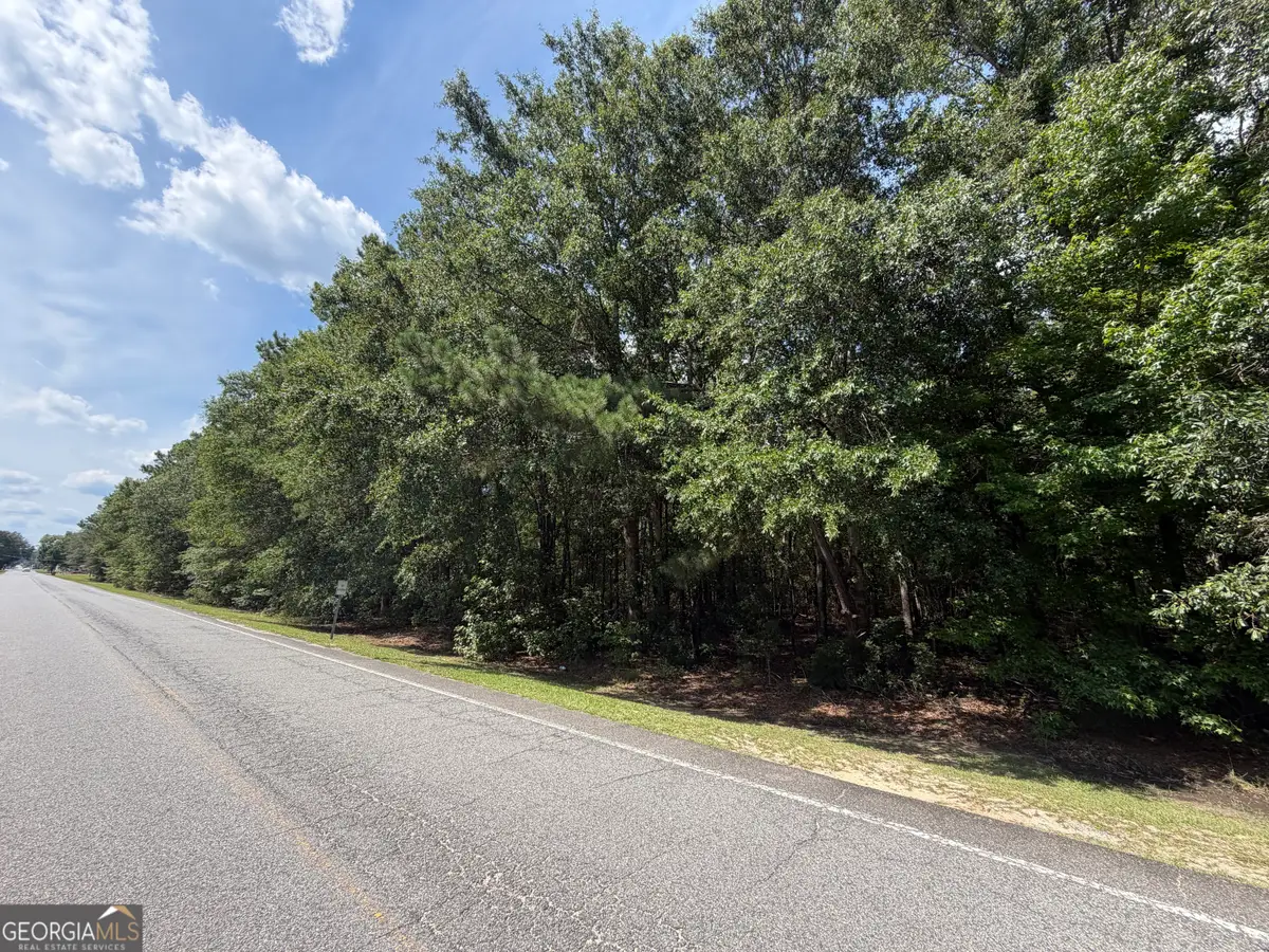 0 Willow Creek Lane, McRae-helena, GA 31055 - #1