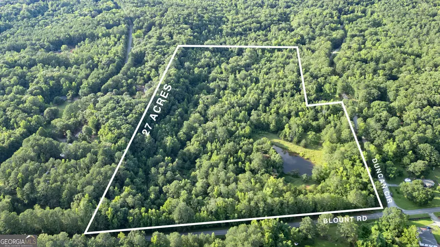 1073 Blount Road, Jackson, GA 30233 - #2
