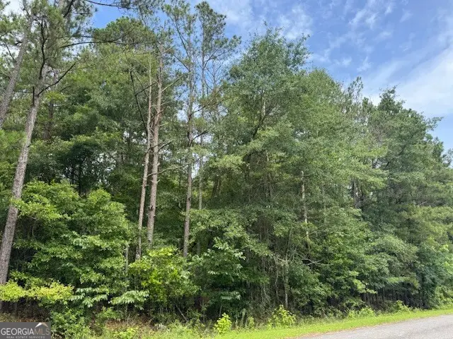 2320 Sofkee Circle, Lizella, GA 31052 - #3