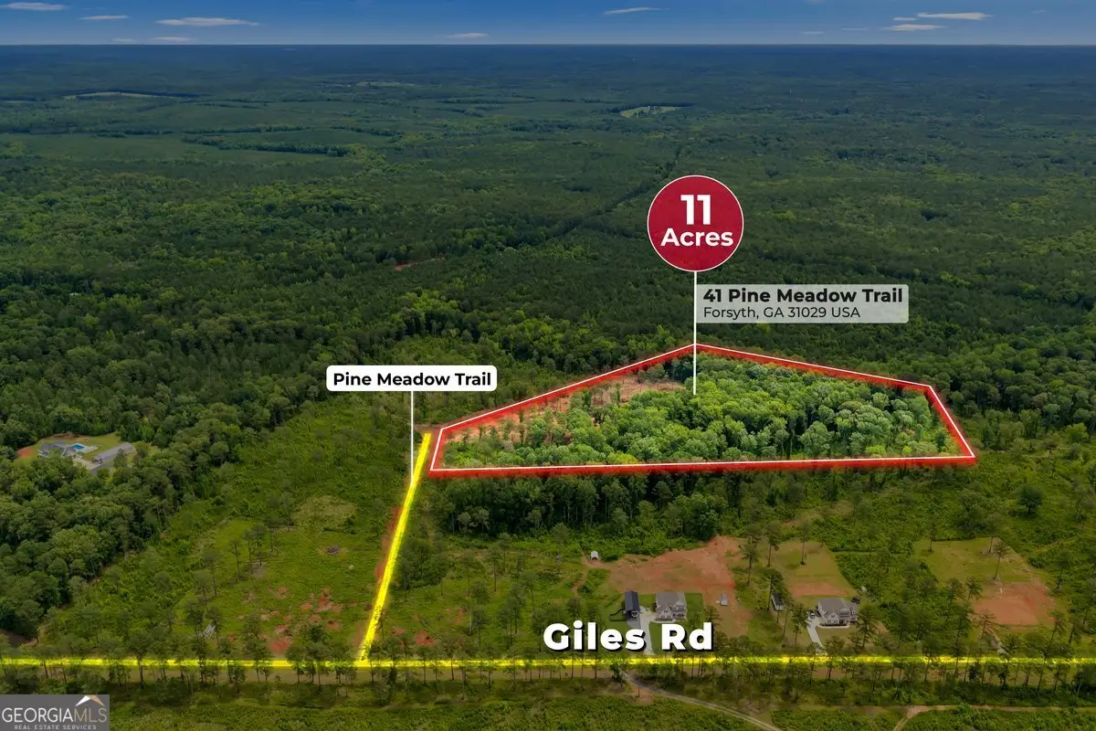 41 Pine Meadow Trail, Forsyth, GA 31029 - #1
