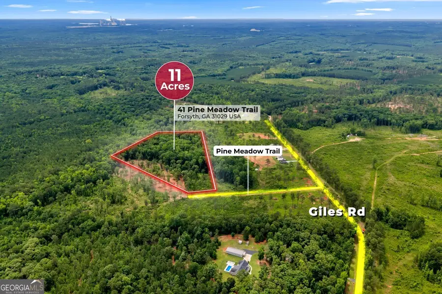 41 Pine Meadow Trail, Forsyth, GA 31029 - #3