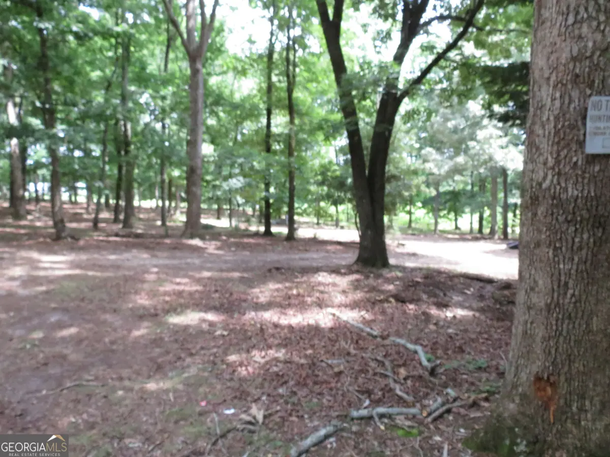 343 Shadow Mtn Lane, Cleveland, GA 30528 - #1