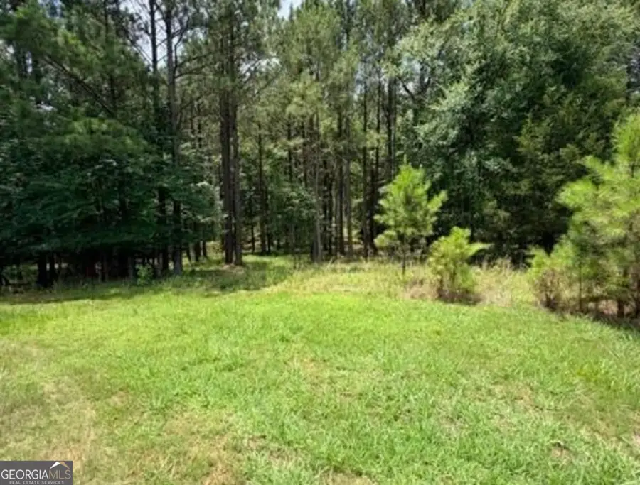1476 Rock Point Cove, Tignall, GA 30668 - #2