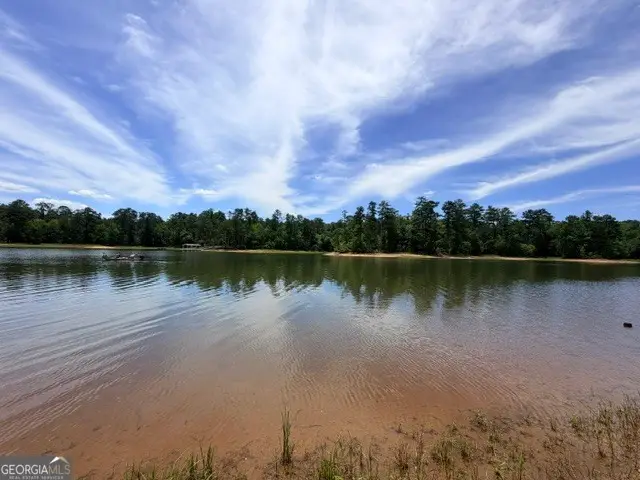 1476 Rock Point Cove, Tignall, GA 30668 - #3