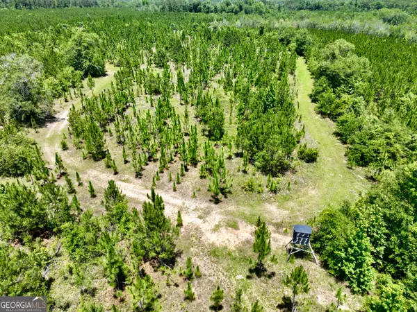 0 W. River Road, Rhine, GA 31077