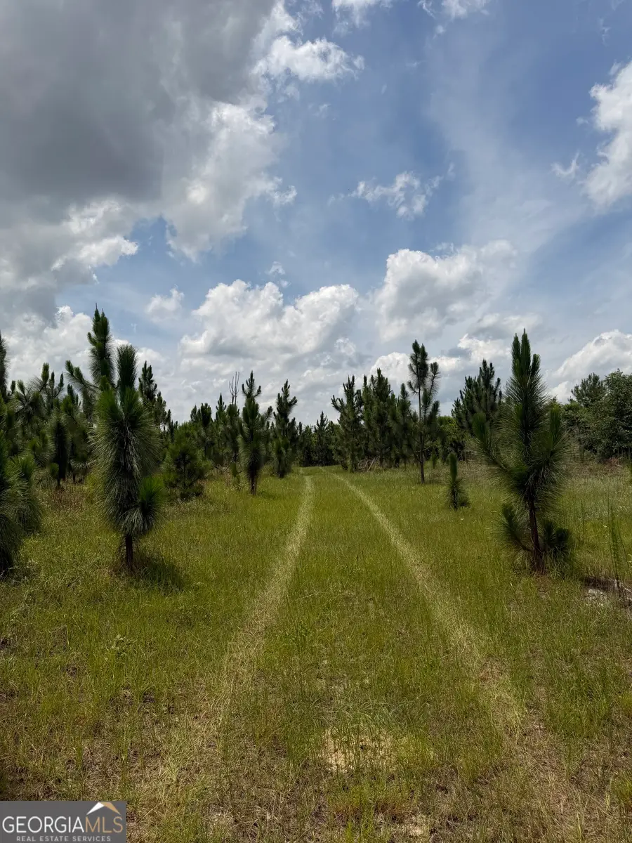 0 W. River Road, Rhine, GA 31077 - #3