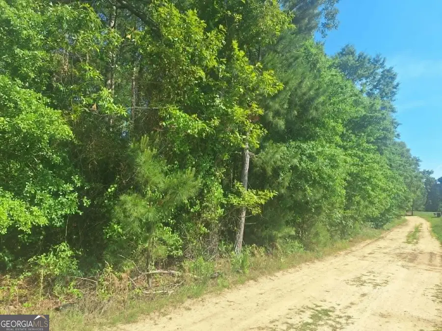 4485 Langston Drive, Millen, GA 30442 - #2