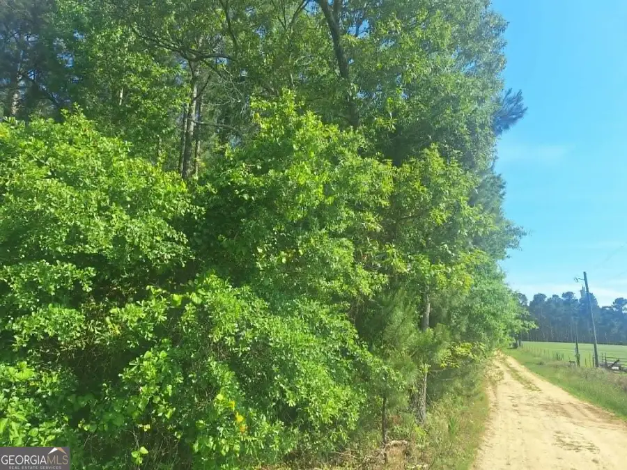 4485 Langston Drive, Millen, GA 30442 - #3
