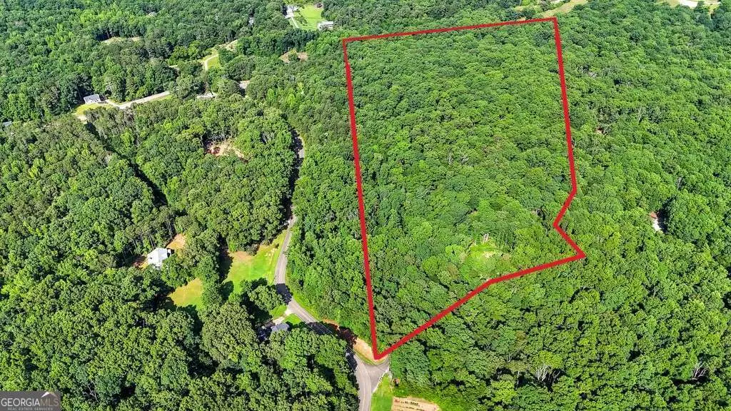 173 Hogan Pond Lane, Ball Ground, GA 30107 - #1