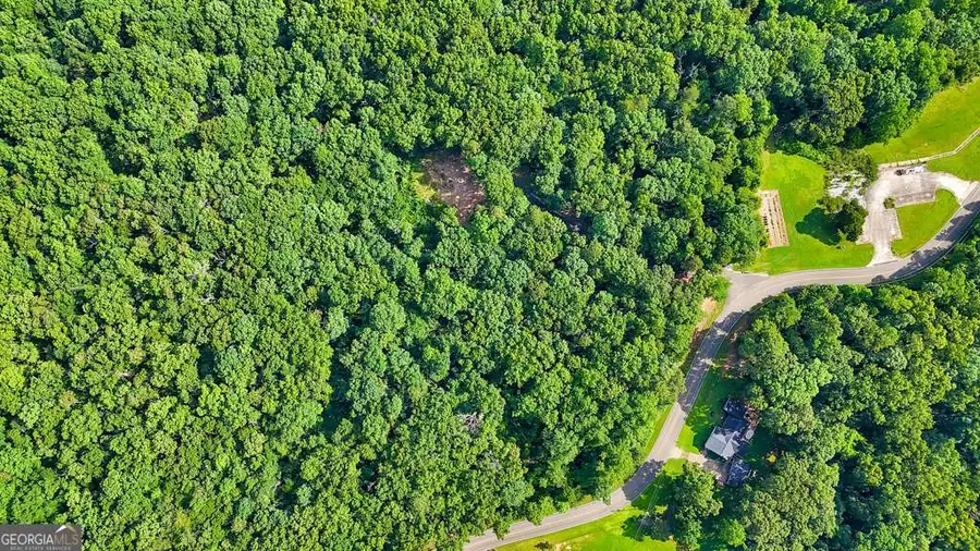 173 Hogan Pond Lane, Ball Ground, GA 30107 - #2