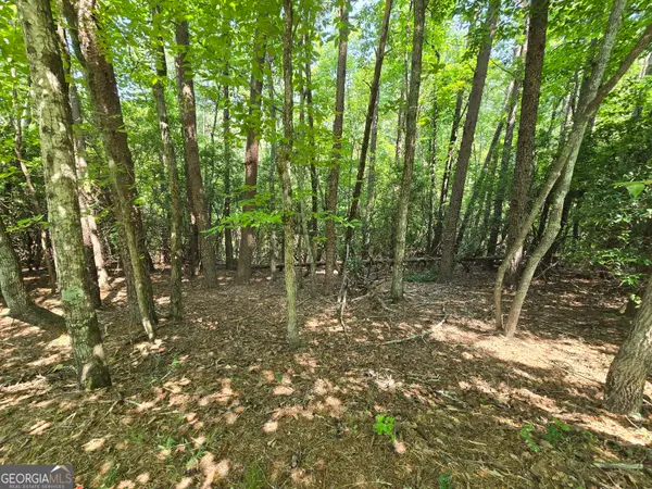 C2 Quail Run, Sautee Nacoochee, GA 30571