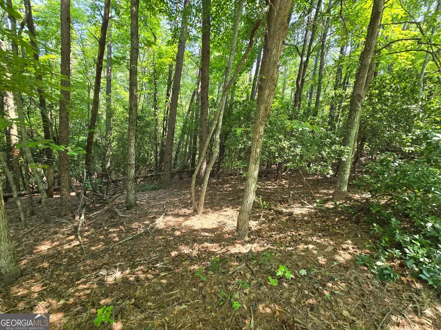 C2 Quail Run, Sautee Nacoochee, GA 30571 - #2