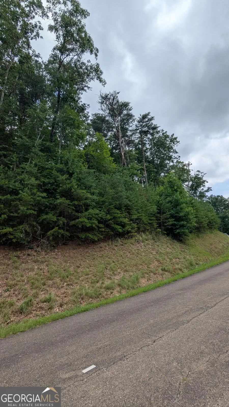 232 Stone Cliff Drive, Ellijay, GA 30536 - #2