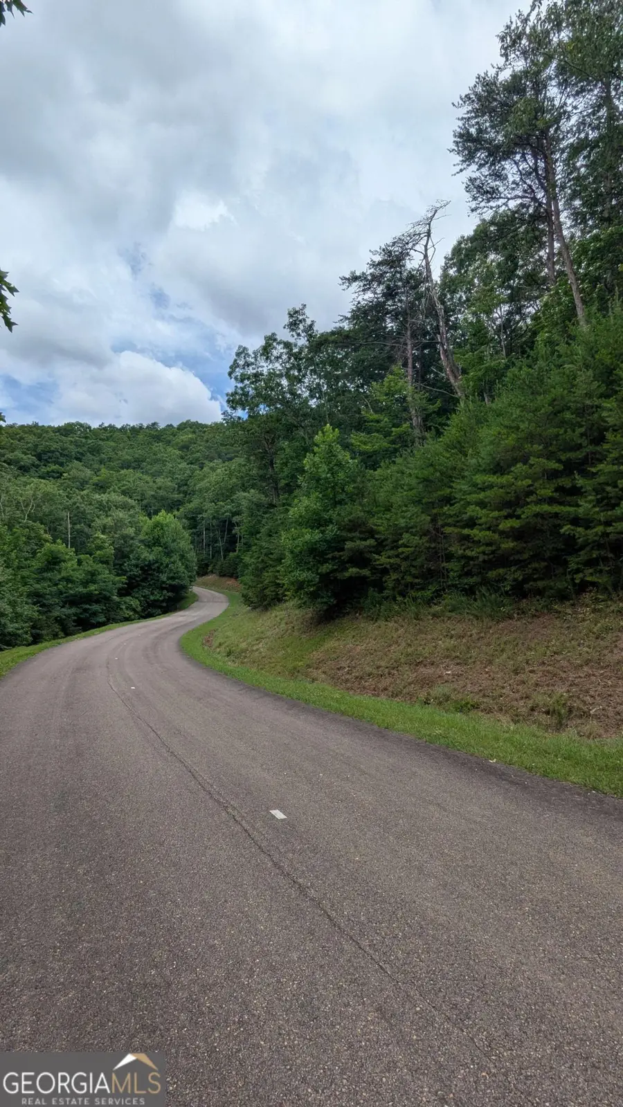 232 Stone Cliff Drive, Ellijay, GA 30536 - #3