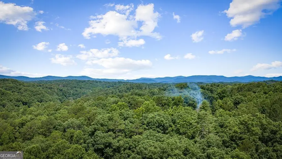 290 Graham Court, Ellijay, GA 30540 - #2