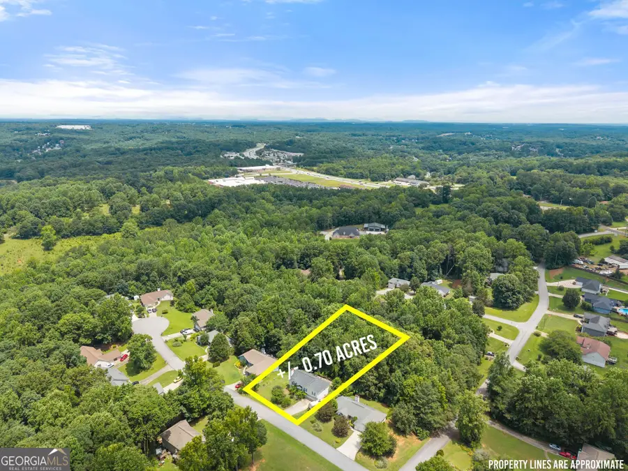 4516 Nohl Ridge Lane, Flowery Branch, GA 30542 - #3