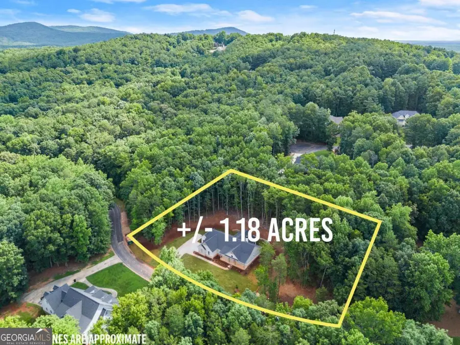 708 Plum Lane, Clarkesville, GA 30523 - #2