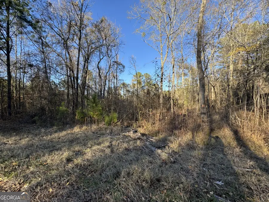 0 Kelly Road, Macon, GA 31217 - #2