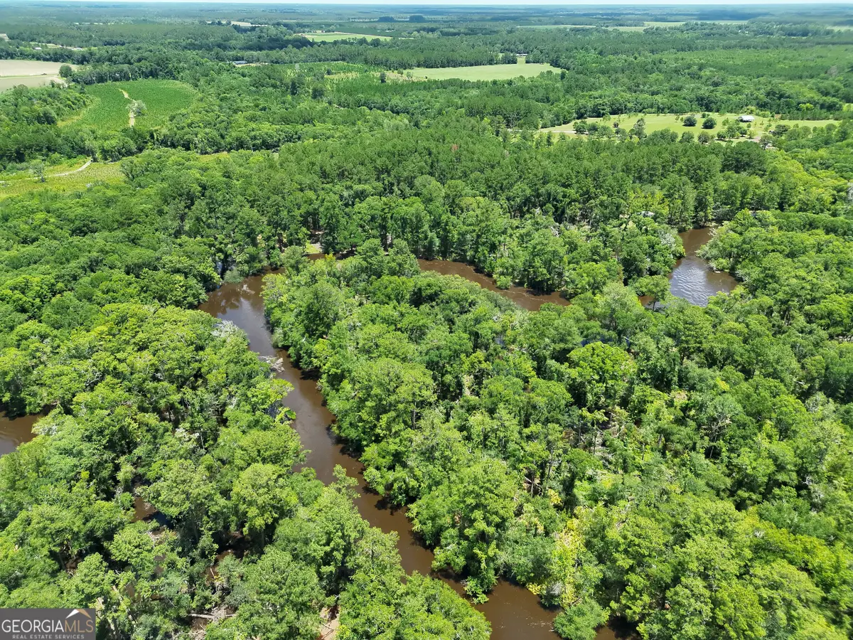 10 ACRES Wildcat Ln - Satilla River, Waycross, GA 31503 - #1