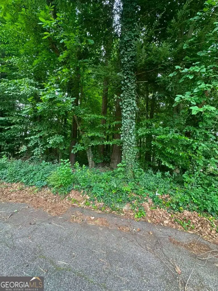 721 Aberdeen Drive, Stone Mountain, GA 30083 - #3