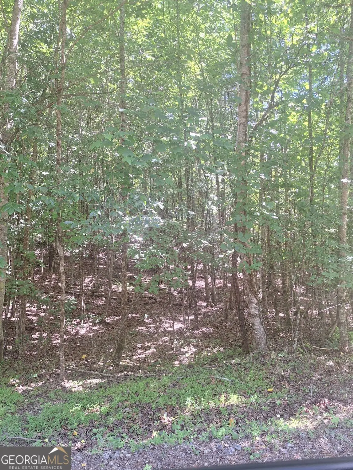 0 Judah Road, Morganton, GA 30560 - #1