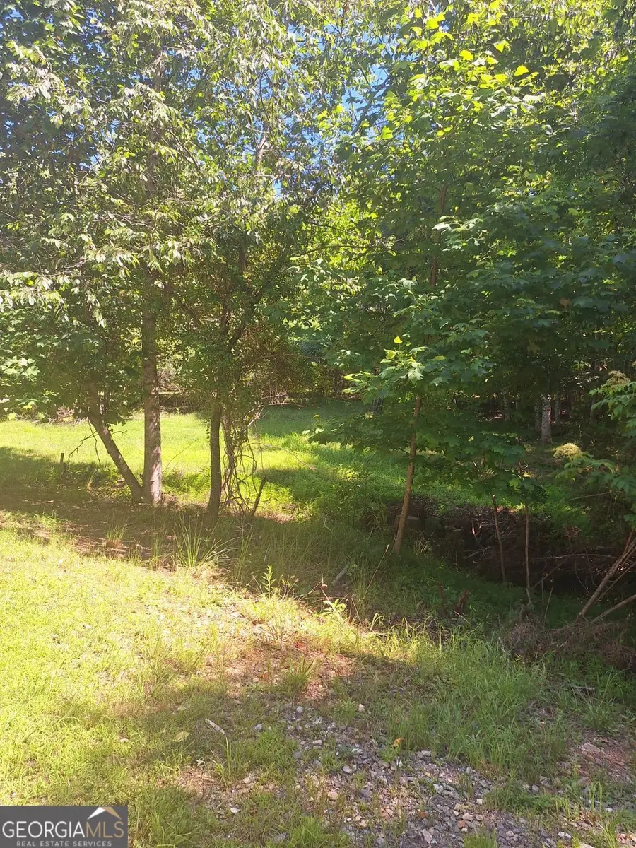 0 Judah Road, Morganton, GA 30560 - #2