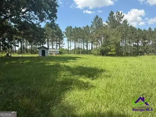 126 Gooseneck Lane, Hawkinsville, GA 31036 - #3