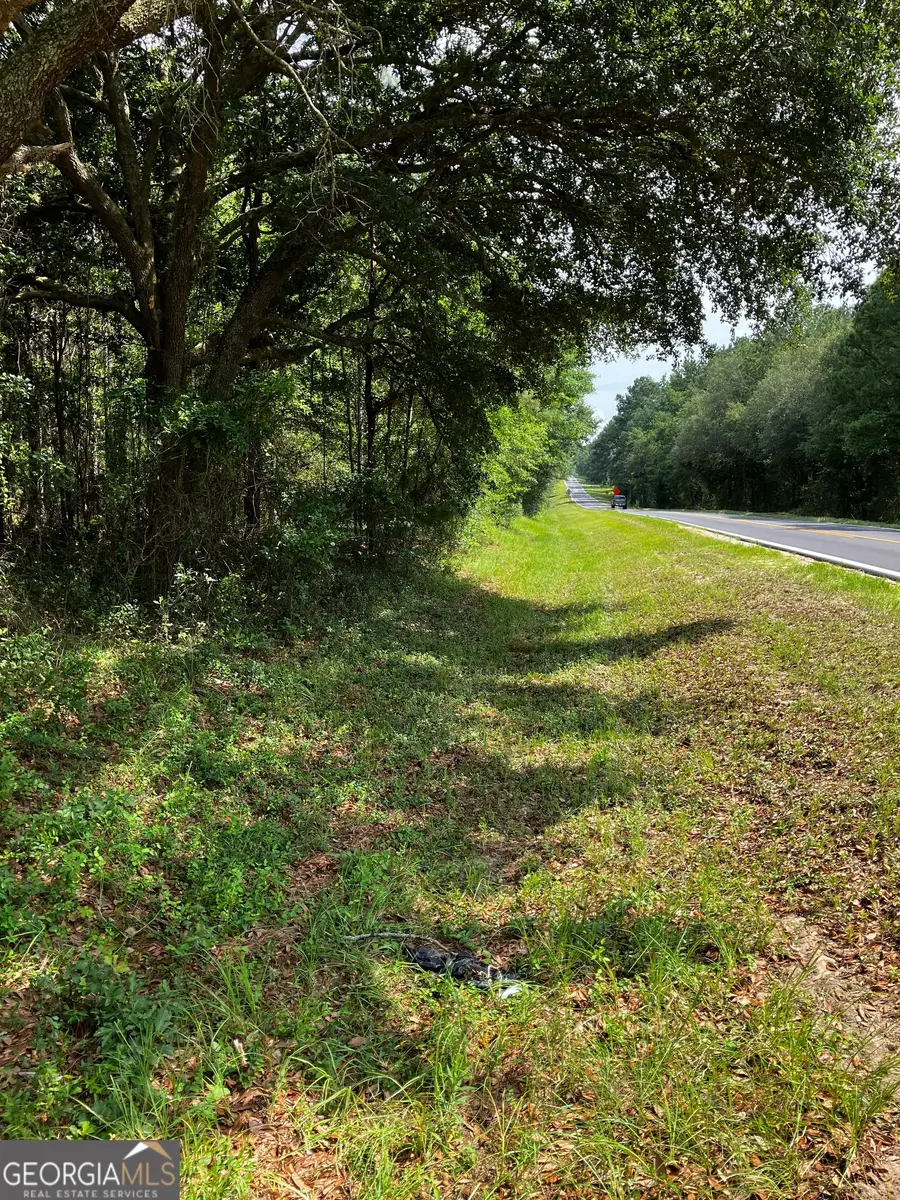 0 Hendrix Bridge Road, Claxton, GA 30417 - #2