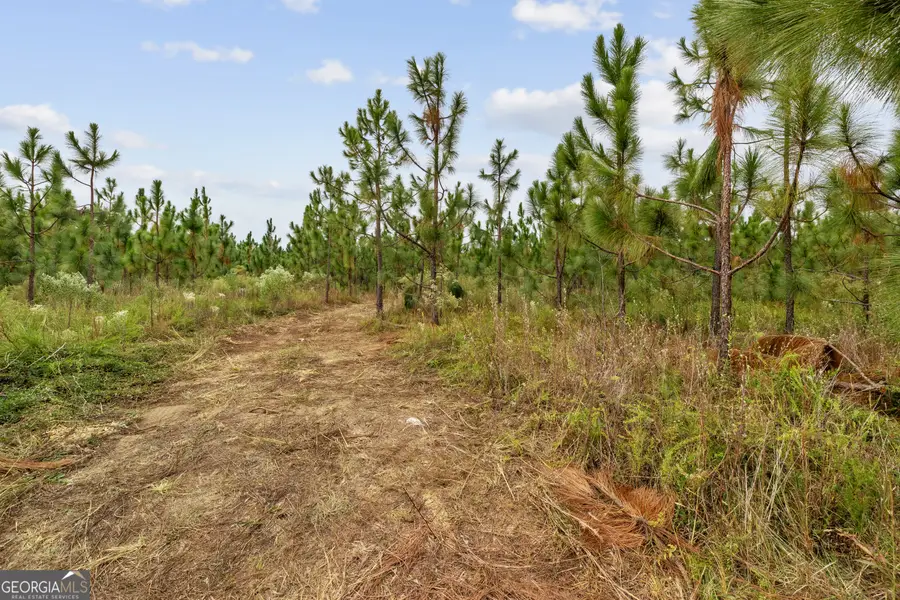 0 Highway 297 #TRACTS 1, 2, 3, 4 & 5, Soperton, GA 30457 - #2
