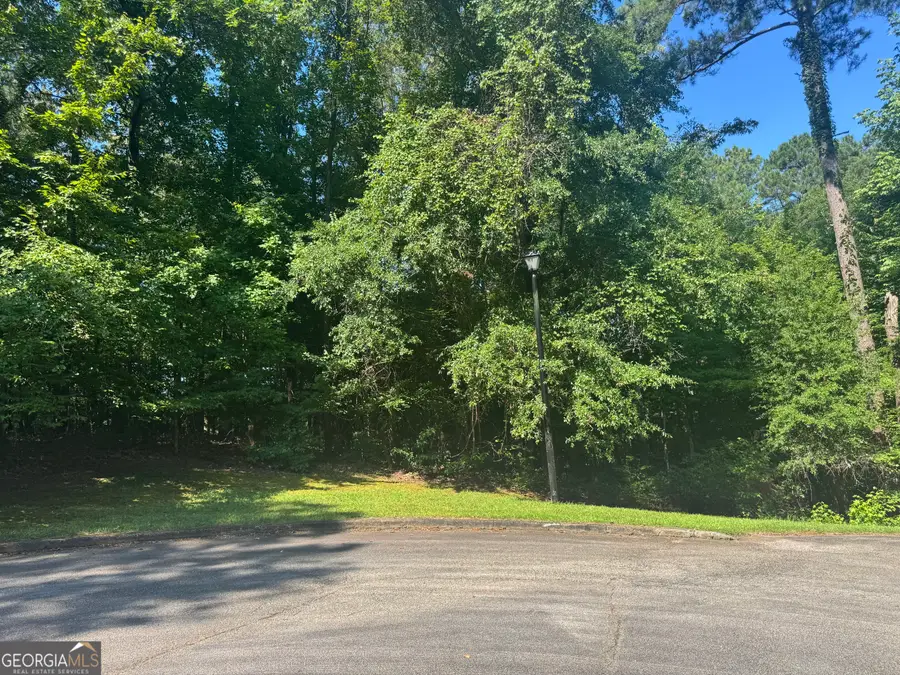 217 Long Cove Drive, Lagrange, GA 30240 - #2