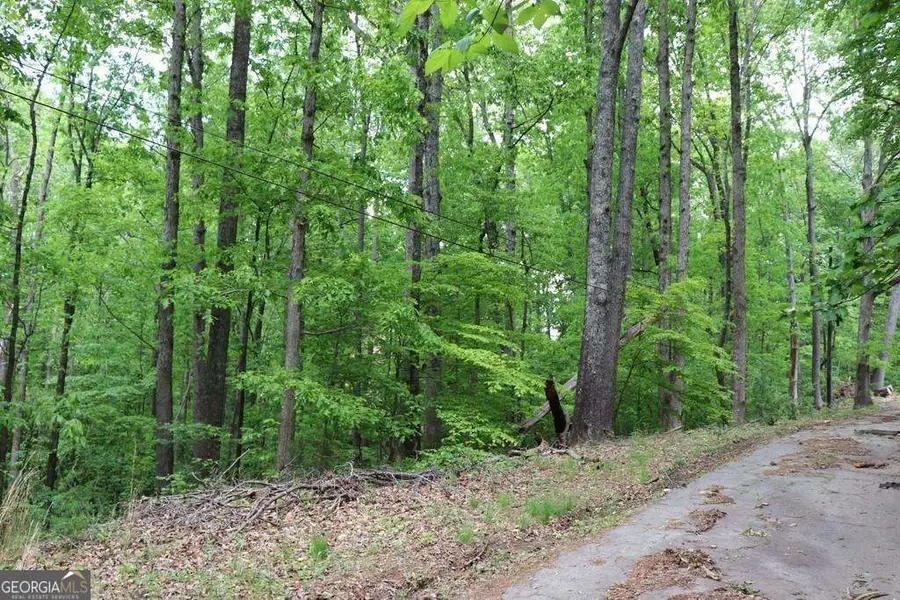 0 Jailette Road, South Fulton, GA 30349 - #3
