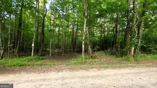 LOT 20 Gordon Road, Forsyth, GA 31029