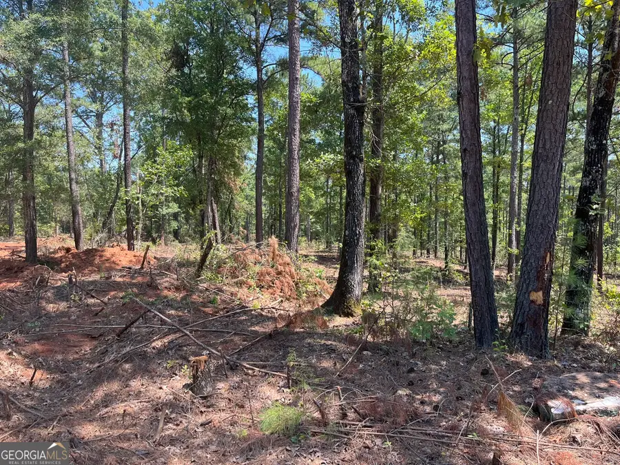 LOT 20 Gordon Road, Forsyth, GA 31029 - #3