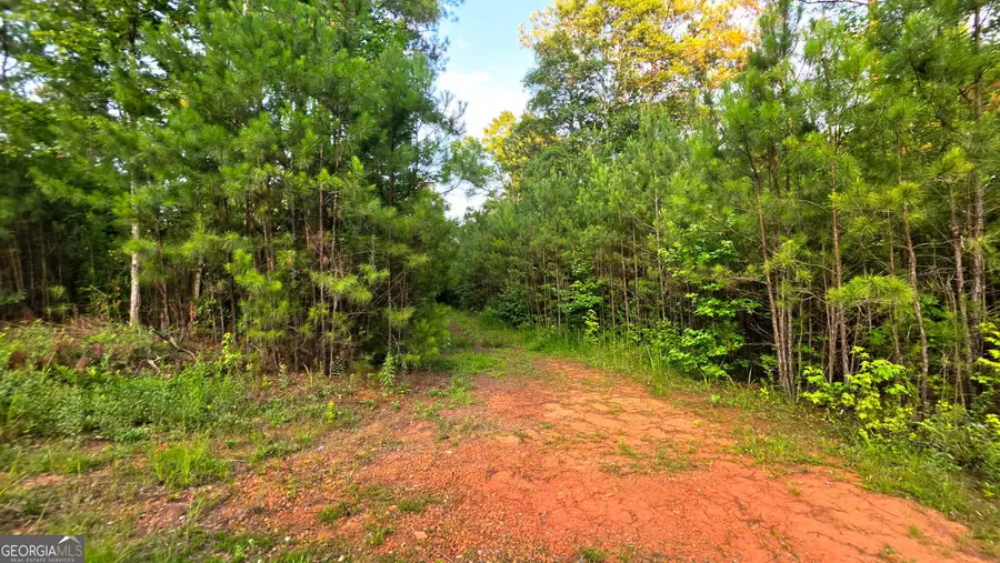 LOT 21 Gordon Road, Forsyth, GA 31029 - #2