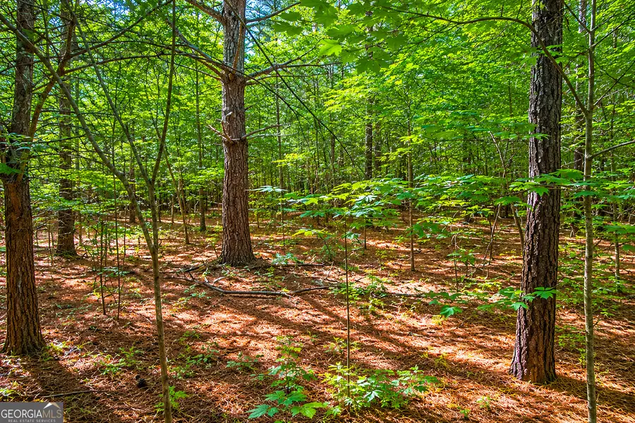 1.25 ACRES Bronco Road, Lafayette, GA 30728 - #2