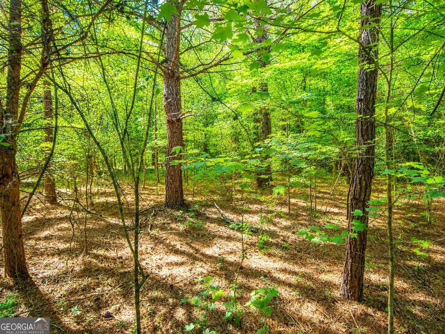 1.25 ACRES Bronco Road, Lafayette, GA 30728 - #3