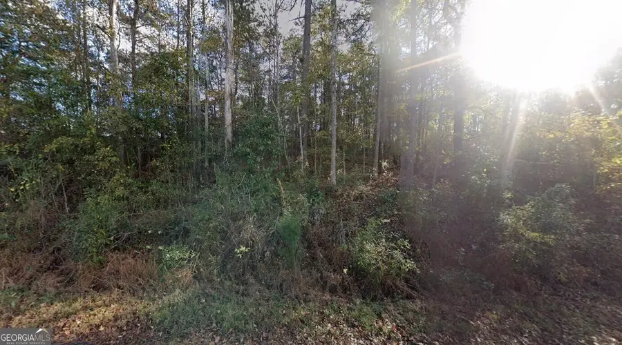 246 Pine Hill Road, Lagrange, GA 30241 - #2
