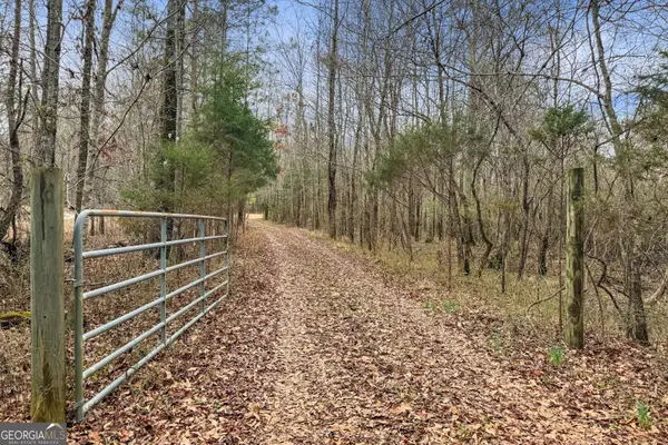 34.61 ACRES Walker Road, Meansville, GA 30256