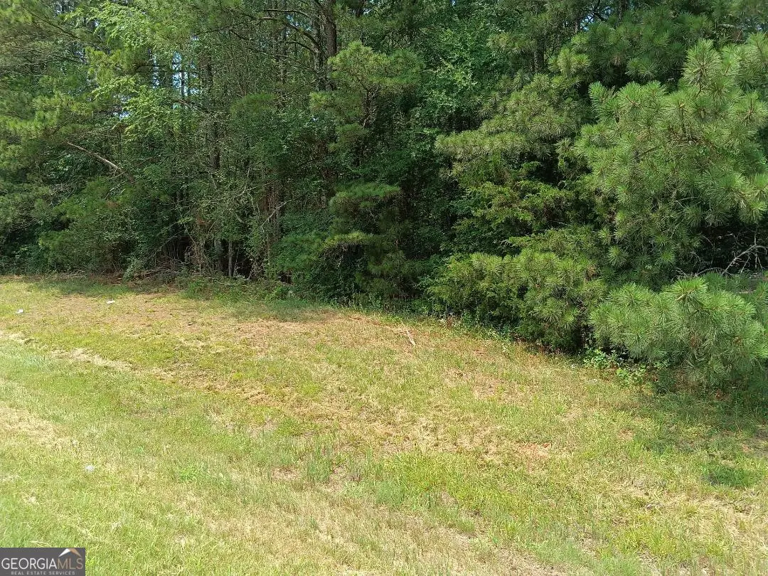 11.78 AC +- Athens Highway, Madison, GA 30650 - #1
