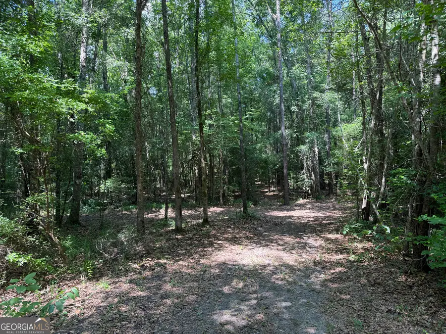 651 Branan Road, Toomsboro, GA 31090 - #3