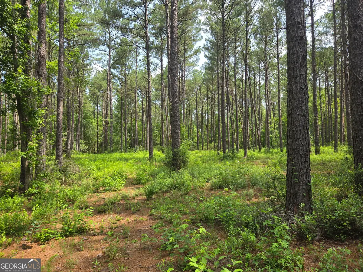 0 Colby Drive, Dublin, GA 31021 - #1