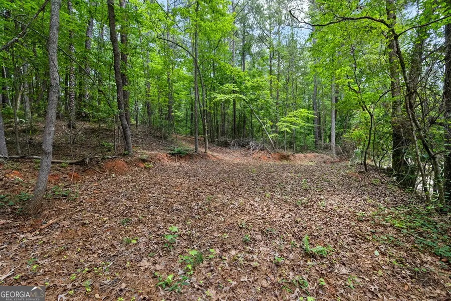 0 Terry Road, Fairburn, GA 30213 - #2