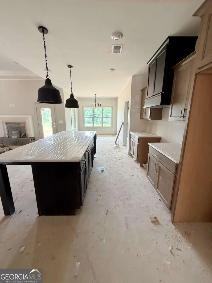 1040 Roopville Veal Road, Roopville, GA 30170 - #3