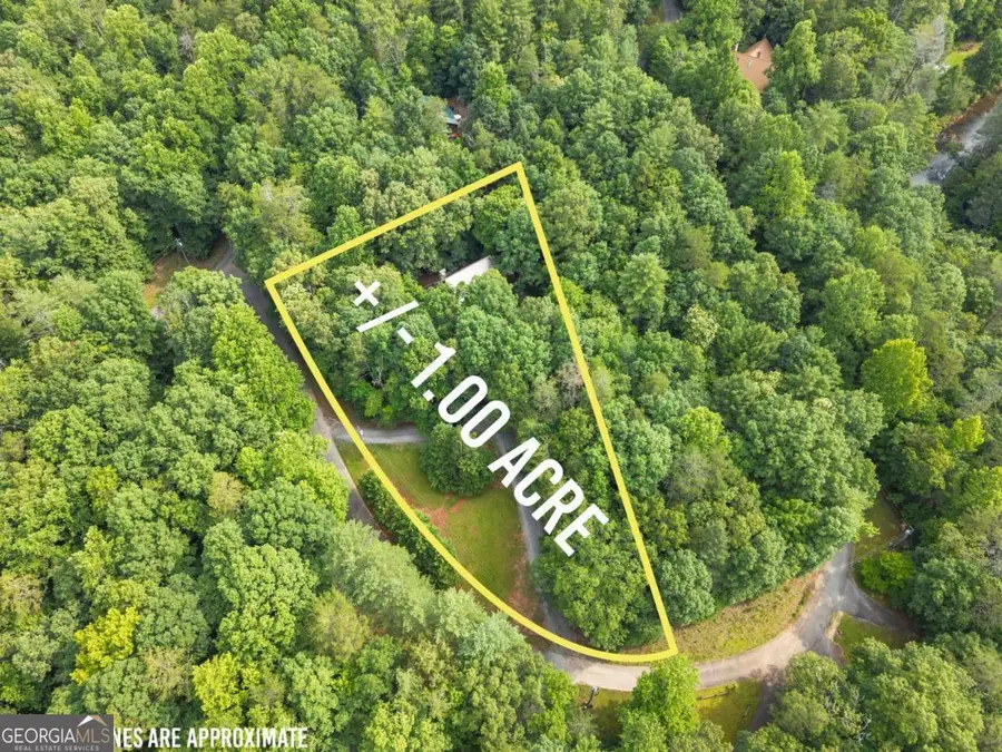 318 Horseshoe Lane, Dahlonega, GA 30533 - #3